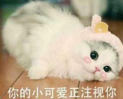 心细的男孩子怎么追呀