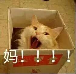 当老妈微信不理你时,就给她发......