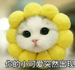 再上14天班,上海人集体放假还有一大波好消息在等着你