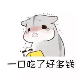 有些事,不必急着一夜做完,比如