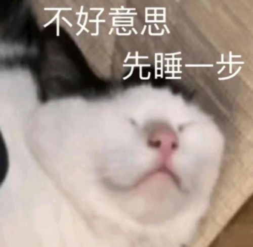 沙雕又可爱的朋友圈文案99.0