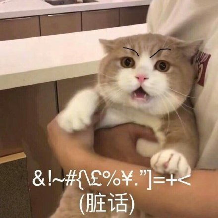 表情包我直接一个锤子警告