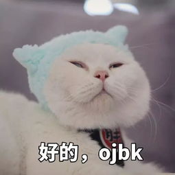 没有表情包,还聊什么天100张表情包,拿去