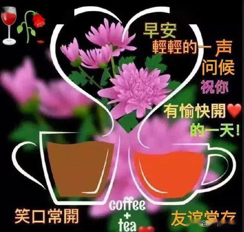 早上好,愿你拥一份从容心情,赏一路美好风景