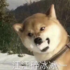怎么在王者荣耀里交到朋友