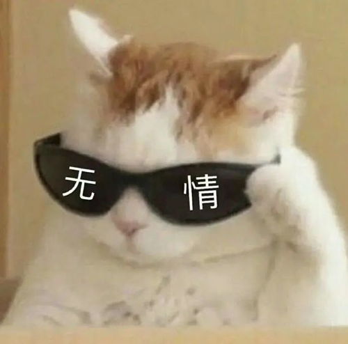 尬囧糗娱乐圈2020年最尴尬时刻