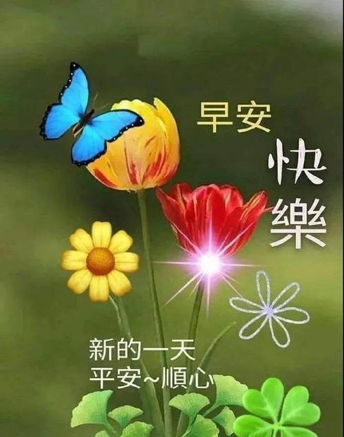 初夏清晨早上好问候语动态表情图片,最美的早上好问候祝福语发朋友