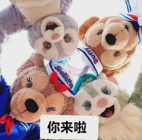 吃不了工作的苦,却啃下了公务员备考的苦,一路高歌猛进,直至上岸大树