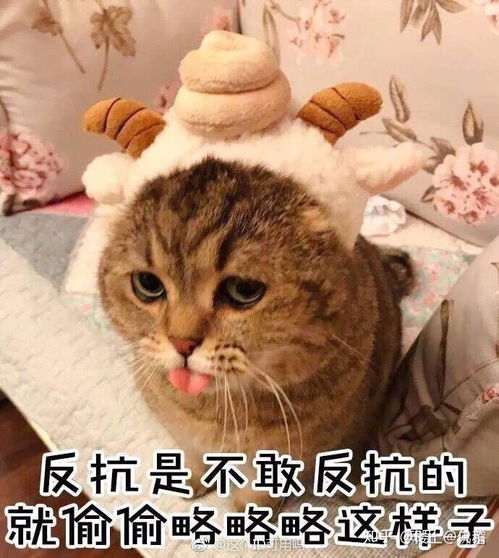 过来躺下表情包女生