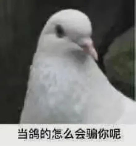 如果王漫妮是寿县姑娘