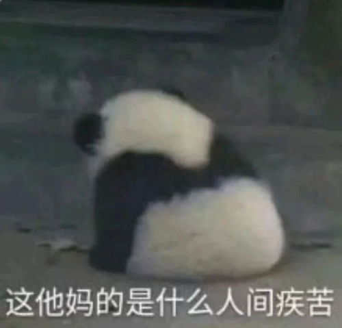 有哪些特别萌的表情包