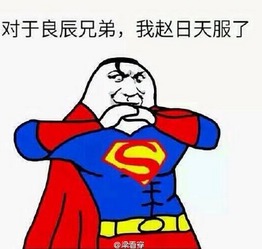 我叫叶良辰的梗叶良辰是谁