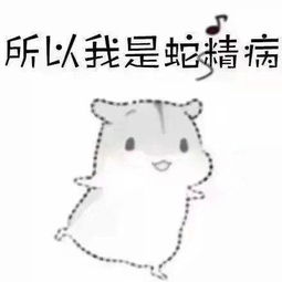 撩....撩对象表情包