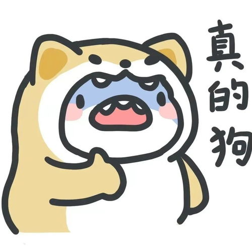 表情包超可爱小鲨鱼表情包系列
