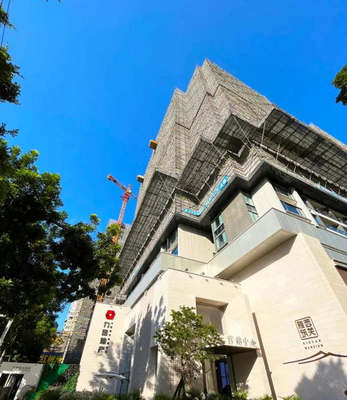 力迅西关雅筑已于11月11日顺利封顶力迅西关雅筑最新动态