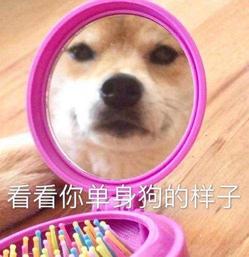 搞笑表情包今天也是多愁善感的一天