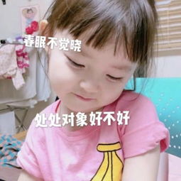 单身狗专用撩人表情包春眠不觉晓,处处对象好不好