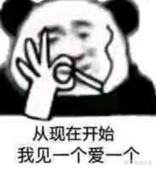 有没有超级适合发朋友圈的搞笑文案语录