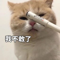 拔头发表情包笑话