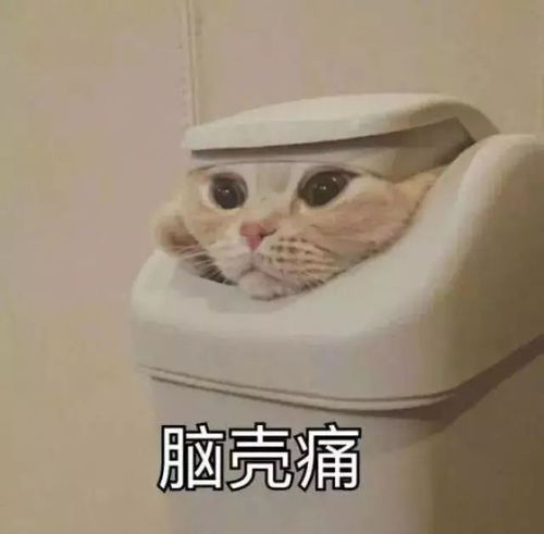 目瞪口呆表情包懒羊羊狮子
