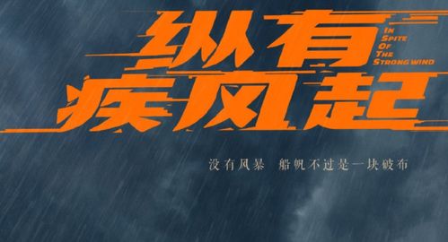 纵有疾风起语录