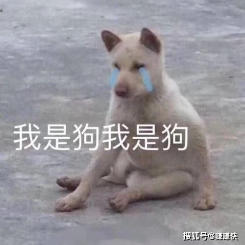 可爱表情包吓死宝宝了