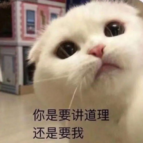 热门沙雕表情包