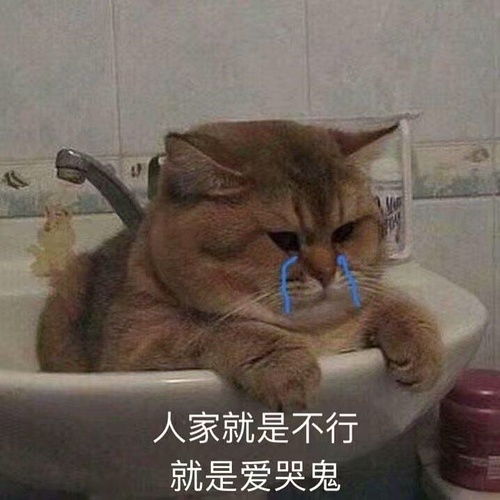 宝藏湾