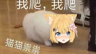 萌新第一个神