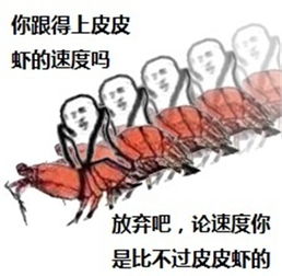 究竟皮皮虾我们走是什么梗海鲜界的小弟咋成了表情包界的扛把子图