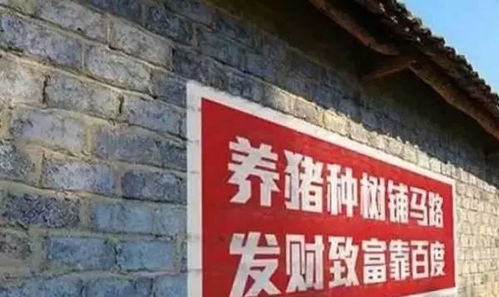 13个很牛的印在农村围墙上的广告文案你服了吗