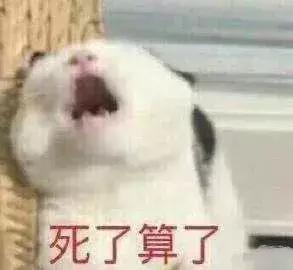 过来躺下表情包直逼