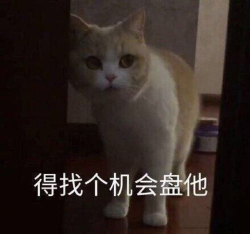 送你最新表情包图片,别生气了
