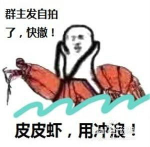 皮皮虾我们走吧是什么梗
