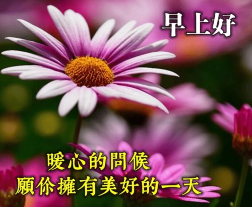 人与人之间,就是一种缘分心与心之间,就是一种交流早安星期六