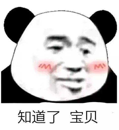 熊猫头表情包i你到底要我说几次