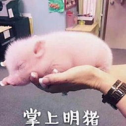 在线收听matt和sally荔枝