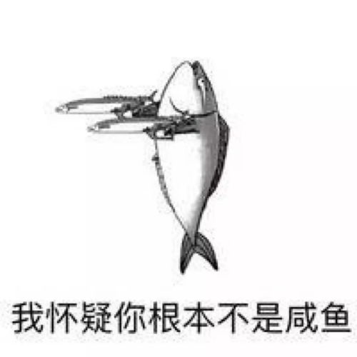 就是明天今冬跨年夜,西海岸人将疯狂涌向这里