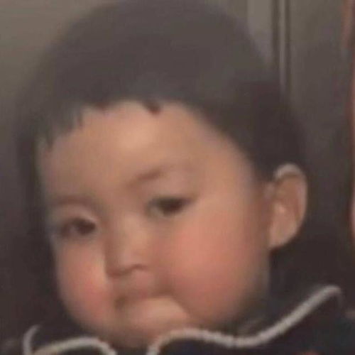 表情包你说什么就是什么啊,我又不敢顶嘴