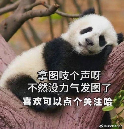 鸿运当头,时来运转