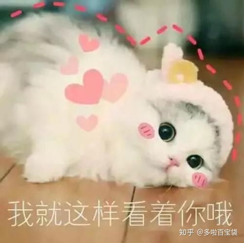便携迷你榨汁机求推荐