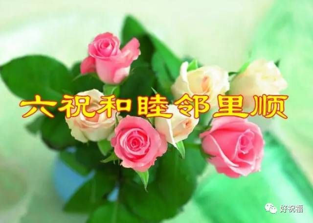 最新群通知