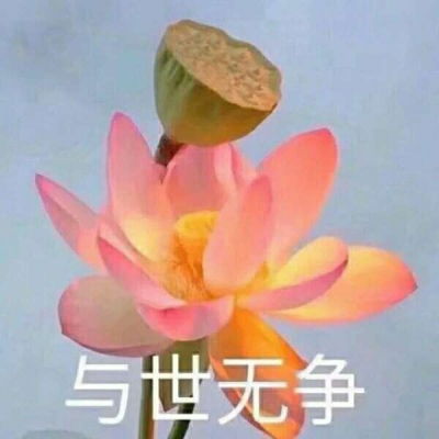 佛系图片表情包