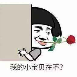 如何拯救一颗不开心的爆炸头