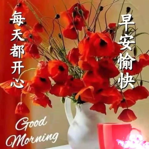 早上好图片祝福语全集2020新出的微信早晨问候表情
