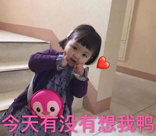 小仙女表情包用起来