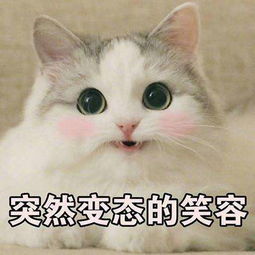 你有收纳癖或整理癖吗