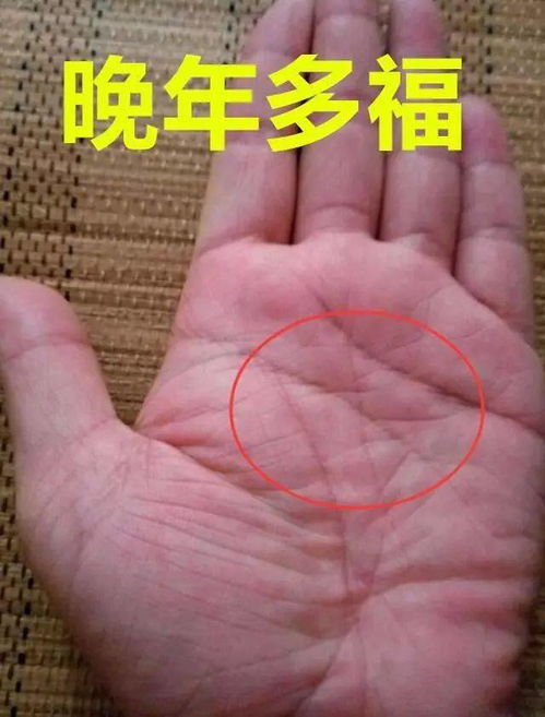 算命手相长寿多福,发大财的手相男左女右