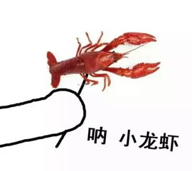 舌尖上的海大二餐二楼的小龙虾上市啦