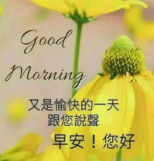 夏季清晨最温馨的问候语文字图片送给朋友,祝福您快乐每一天